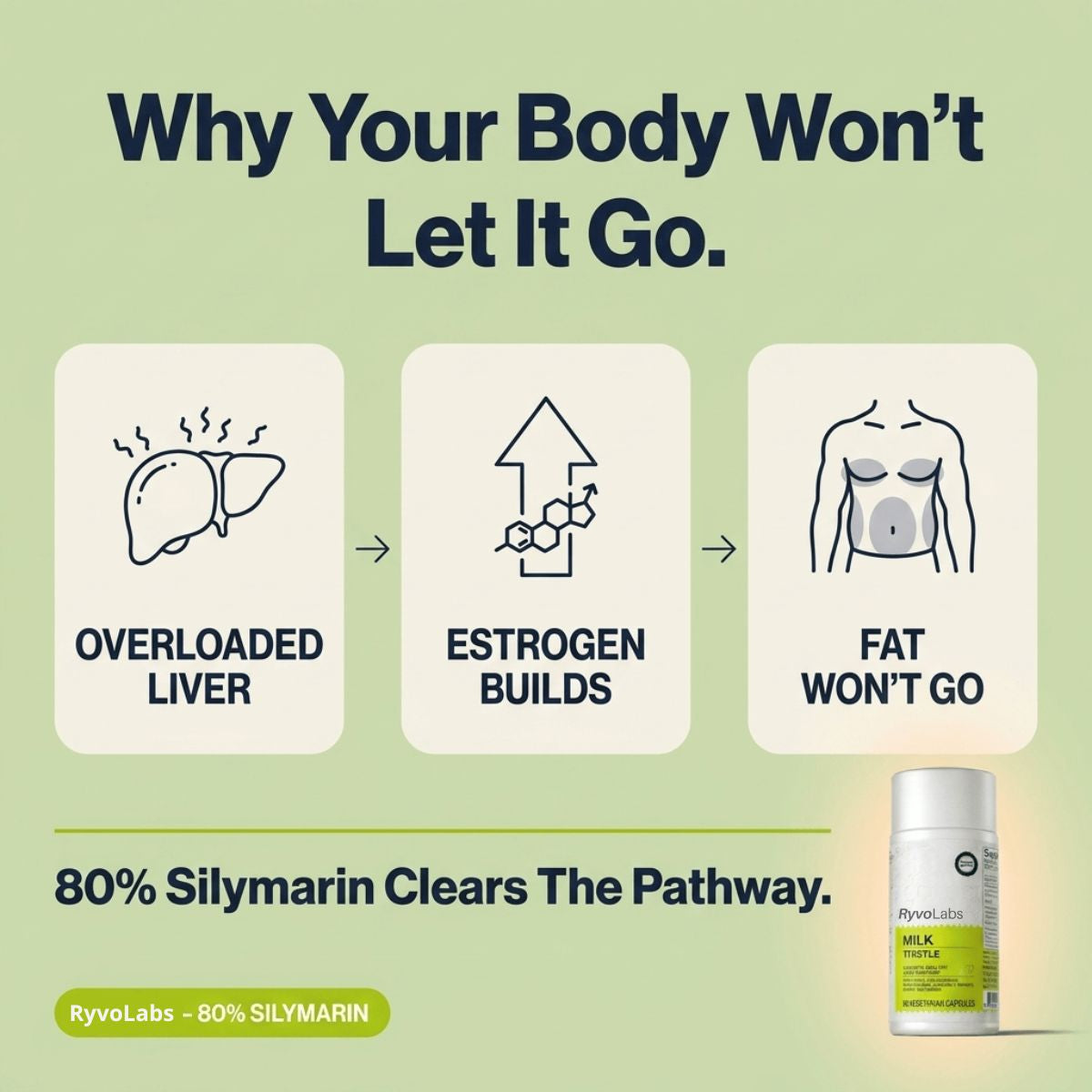 Milk Thistle - 80% Silymarin Formula